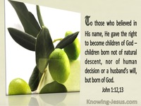 Knowing God in Christ